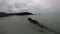 Galapagos Marine Iguana swimming underwater - Iguanas Santa Cruz Island