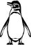 Galapagos penguin. Black and white outline