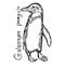 Galapagos penguin - vector illustration sketch hand drawn with b