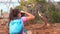 Galapagos tourist taking pictures of Land Iguana eating plant on North Seymour