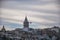 Galata Tower behind the seagull