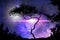 Galaxy  night nature silhouette starry sky  globe milky way nebula  cosmic universe light plares nature background