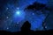 Galaxy  night nature silhouette starry sky  globe milky way nebula  cosmic universe light plares nature background