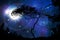 Galaxy  night nature silhouette starry sky  globe milky way nebula  cosmic universe light plares nature background
