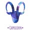 Galaxy zodiac sign Capricorn.Watercolor