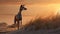 Galgo Dog In The Desert Dunes: A Daz3d Inspired British Landscape