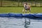 Galgo is jumping in the pool