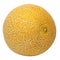 Galia melon, also sarda melon, isolated from above. Fresh, ripe fruit of Cucumis melo var. reticulatus, a sweet, aromatic melon