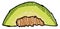 Galia melon, illustration, vector