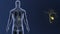 Gallbladder zoom with anatomy