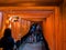 Gallery of torii at Fushimi Inari shrine