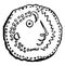 Gallic Coin vintage illustration