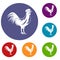 Gallic rooster icons set