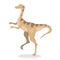 Gallimimus dinosaur isolated.