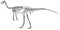 Gallimimus skeleton, illustration, drawing, engraving, ink, line art, vector