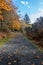 Galloping Goose Trail, Victoria, BC in Autumn