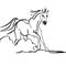 galloping horse, graphic black and white drawing