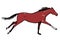 Galloping horse or mustang. Bay color coat pony running.