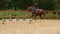 Galloping horse Slow motion