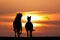 Galloping horses at sunset