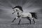 Galloping stallion on black-and-white background