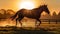 Galloping at Sunrise in the Grand National