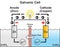 Galvanic voltaic cell infographic diagram