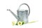 Galvanized watering can