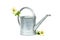 Galvanized watering can