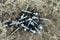 Galvanized wood chipboard screws with secret heads, close-up on a light background