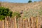 A Gambel& x27;s quail sitting on a coyote fence.