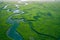 Gambia Mangroves. Aerial view of mangrove forest in Gambia. Photo made by drone from above. Africa Natural Landscape