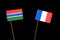 Gambian flag with French flag isolated on black