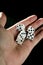 Gambler five dices in human hand