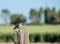 Gambles quail on sentry duty