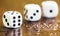 Gambling addiction, dependence concept, white dices