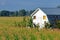 Gambrel Roof Barn for Storage