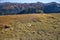 The game of autumn colors on the Polish side of the Rohace valley