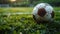 After game. Closeup soccer ball on grass of football field at crowded stadium