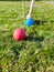 Game of croquet on green lawn