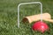 Game of croquet red ball in focus