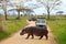 Game drive