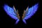 game icon institute, feathered wings black background