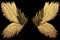 game icon institute, feathered wings black background