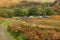 Game shooting party at Grimwith Reservoir  near Hebden in the Yorkshire Dales