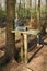 Gamebird feeder in woodland