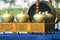 Gamelan Musical Instruments