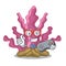 Gamer pink seaweed isolated in the cartoon