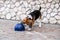 Games to play with beagle puppies. How to Entertain puppy and adult Beagle Indoors, Fun Ways to Exercise Beagle. Cute