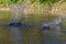 Games on the water  splashes obtained with the use of coastal pebbles.